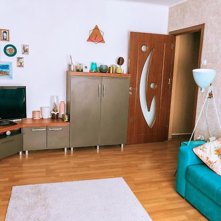 Cozy Apartment Bukovina スチャヴァ エクステリア 写真