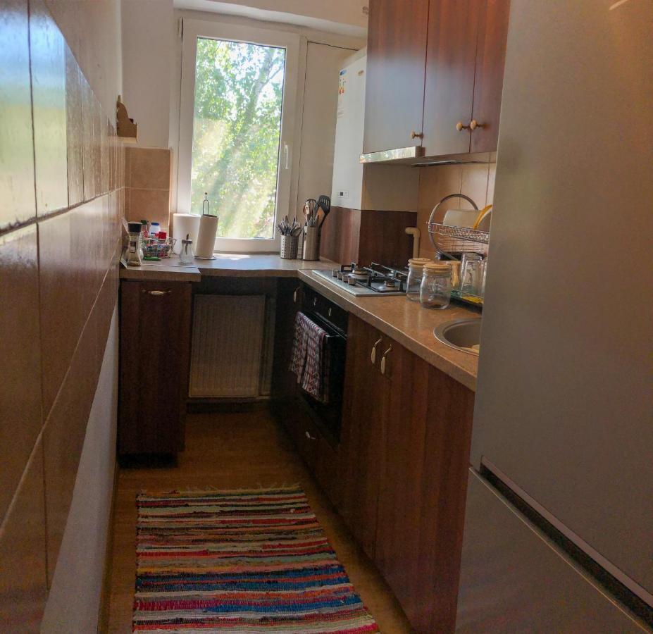 Cozy Apartment Bukovina スチャヴァ エクステリア 写真